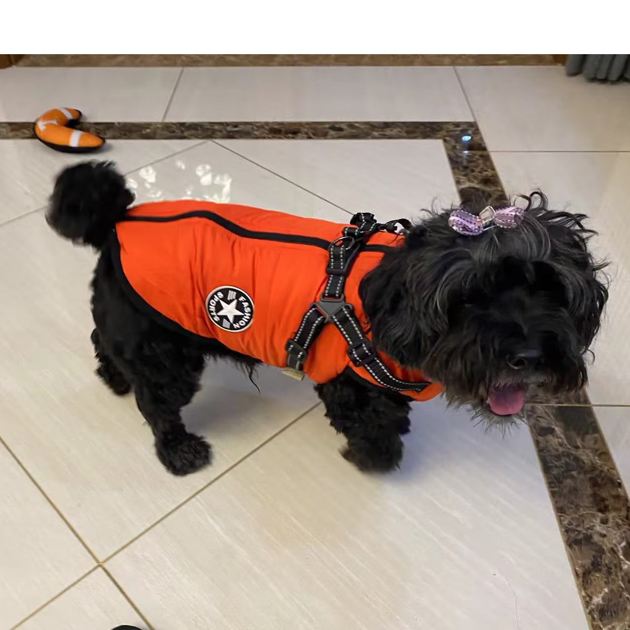 Waterproof Reflective Winter Vest for Dogs